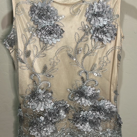 Embroidered Dress Mini Gown Beige Silver Tulle Formal Dance Homecoming Hoco - Picture 2 of 12